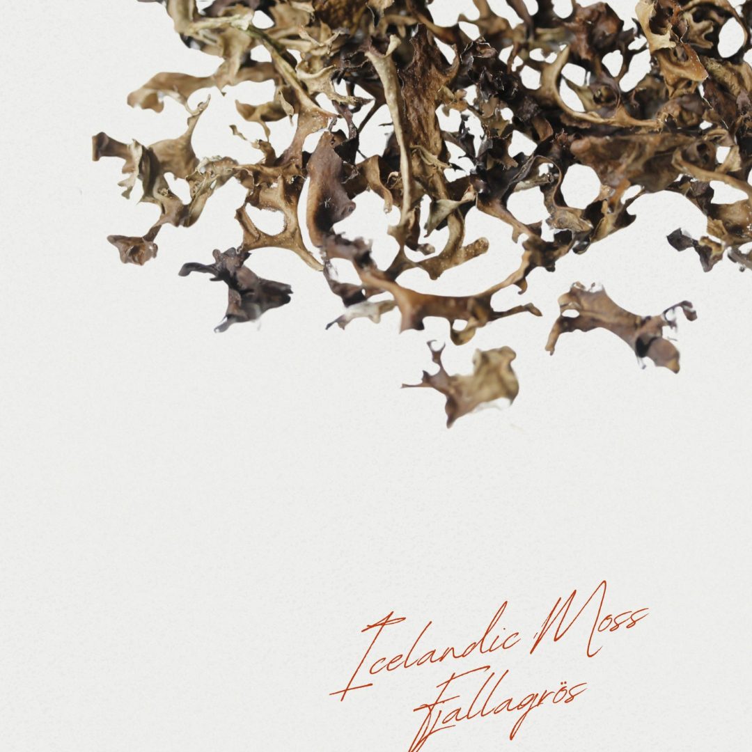 Pure Iceland Moss (100gr) NEW