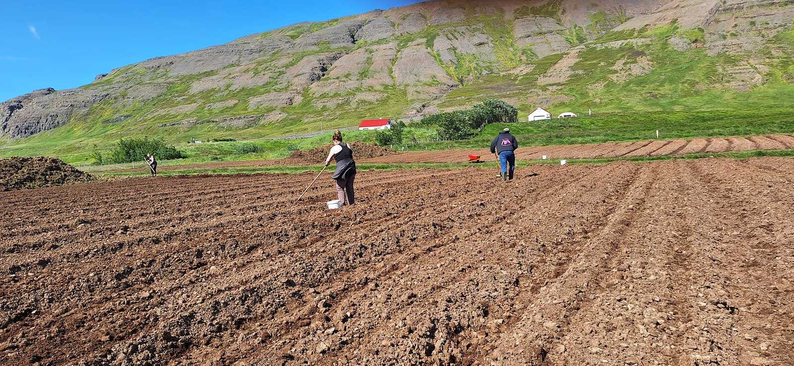 473097058_122191085372176009_4962653803798644707_n