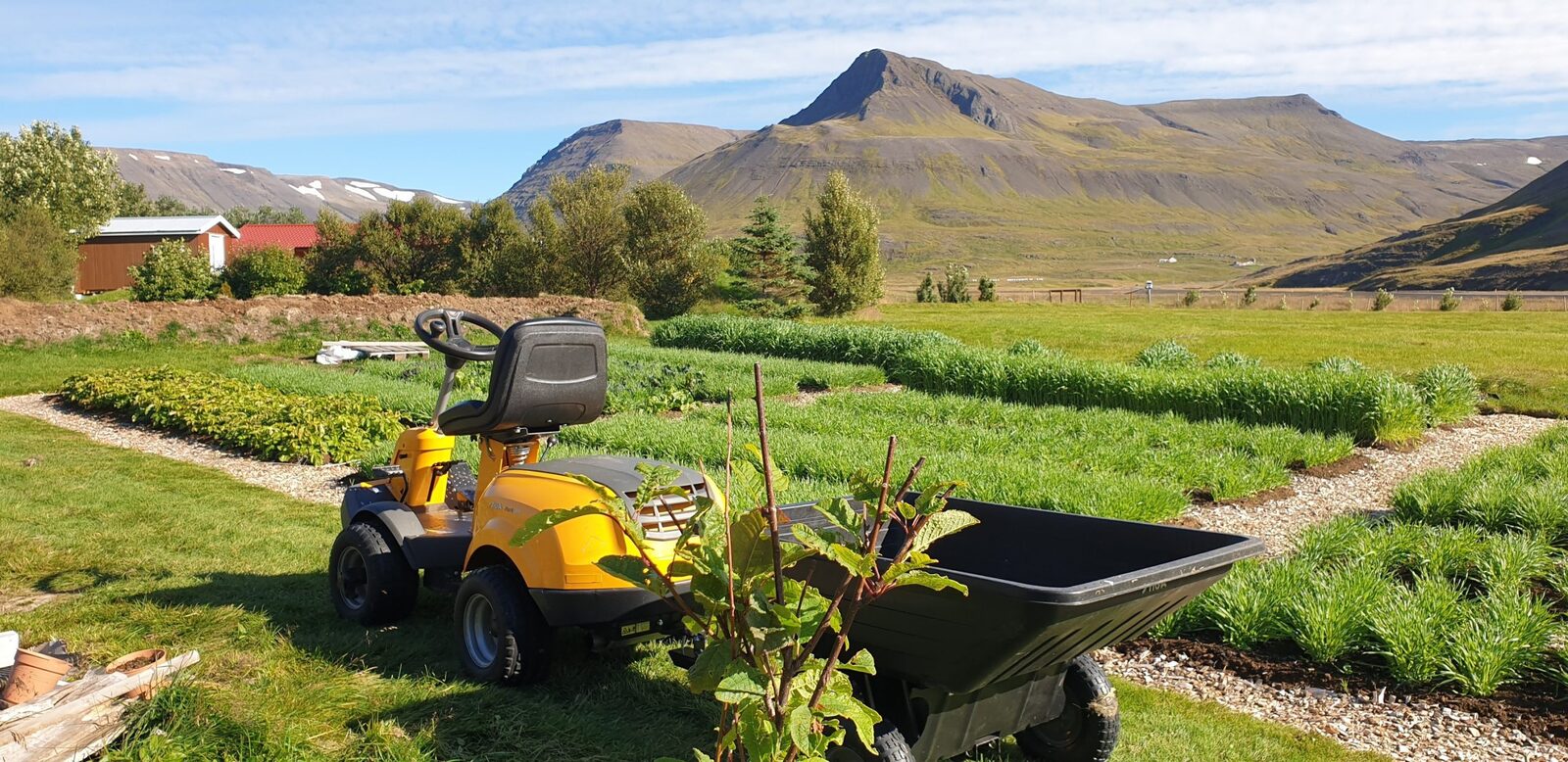 467435258_122182090766176009_6553042986797716281_n