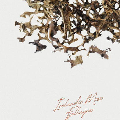 Pure Iceland Moss (100gr) NEW