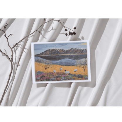 Untitled design (12)