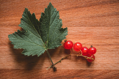 TGF_Website_Images_406-15b152d2