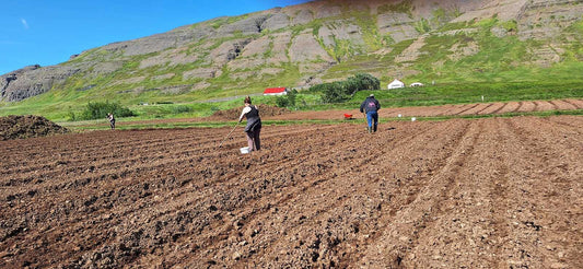 473097058_122191085372176009_4962653803798644707_n