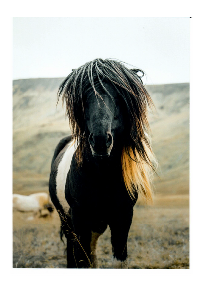 Gunnar Postcard