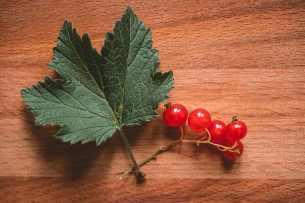 Red Currant Jam - Image 2