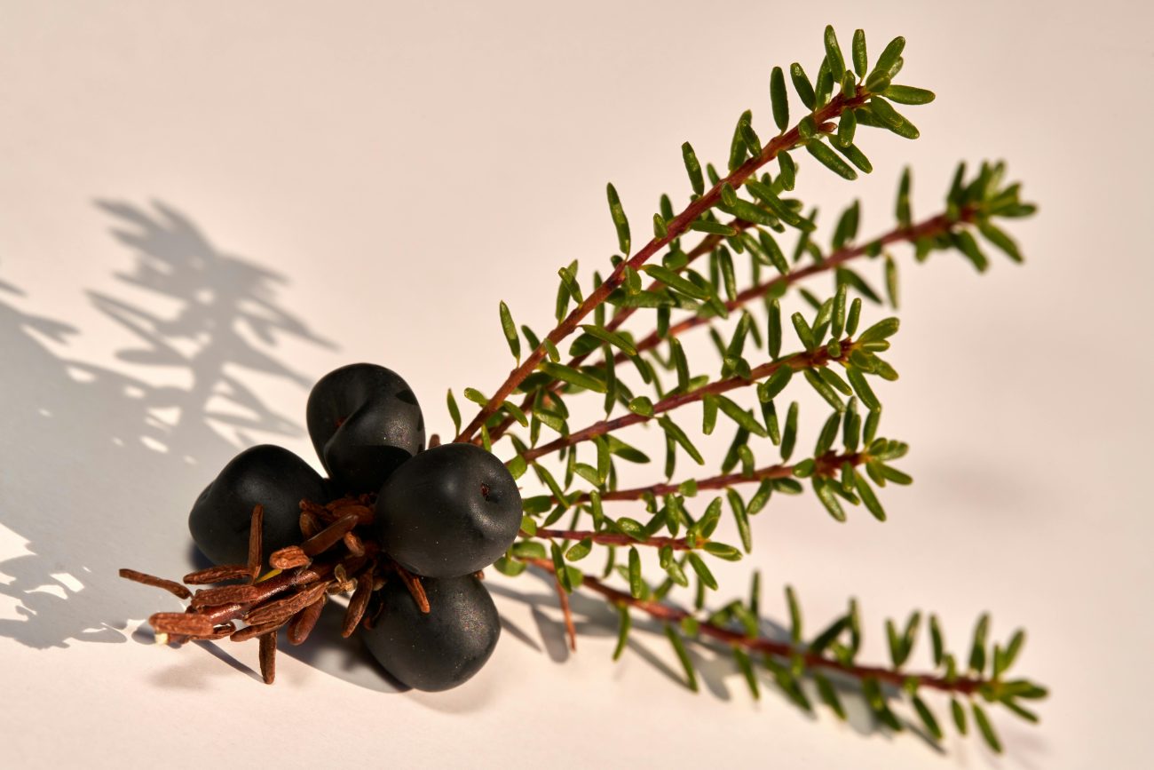 Crowberry Jam (335g) - Image 2