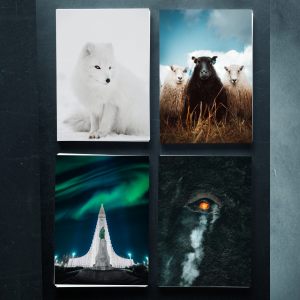 Postcards by Gunnar Gunnarsson